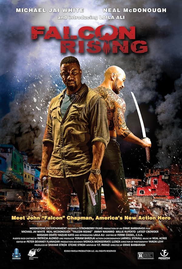 (2014) Falcon Rising | فالکون برمیخیزد ( قدرت شاهین )